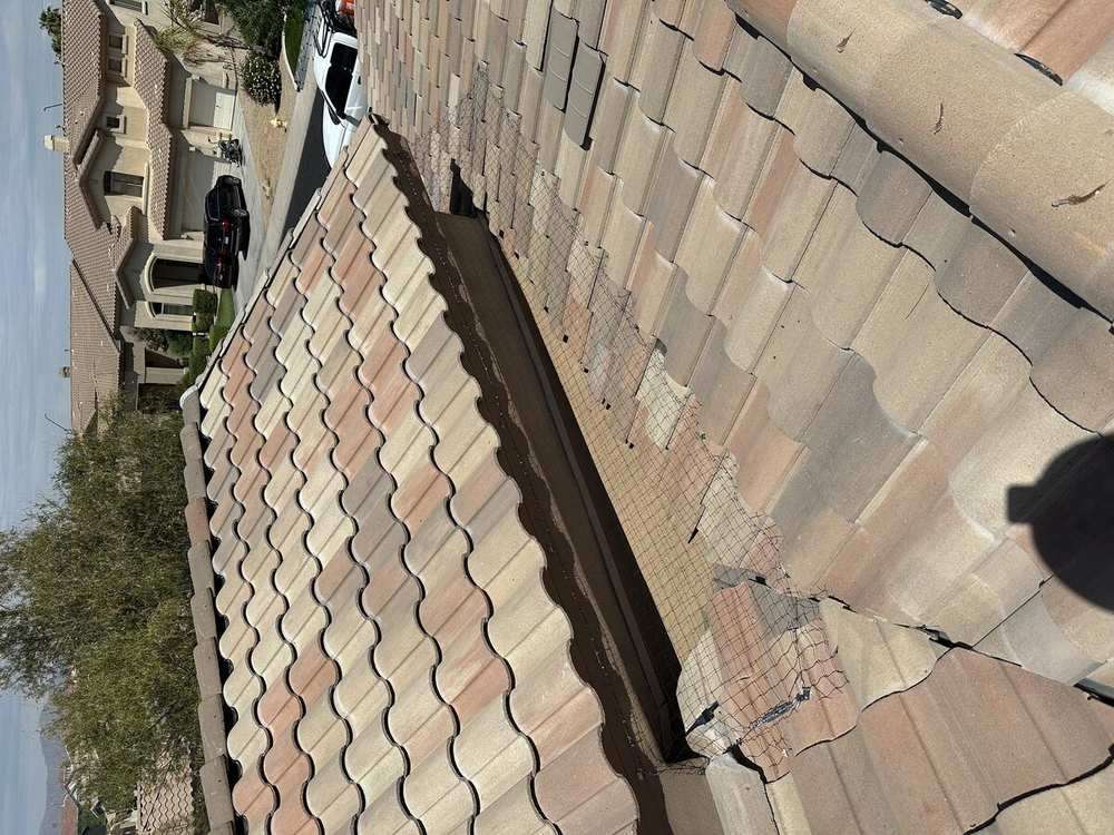 Bird netting under a tile roof eave