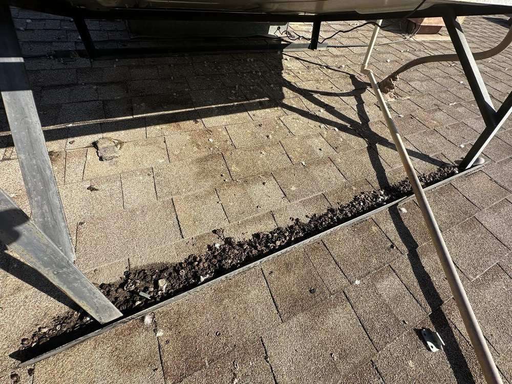 Pigeon droppings accumulated on a rooftop channel