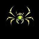 Spiders