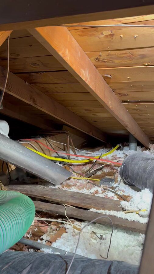 Attic remediation photo 7