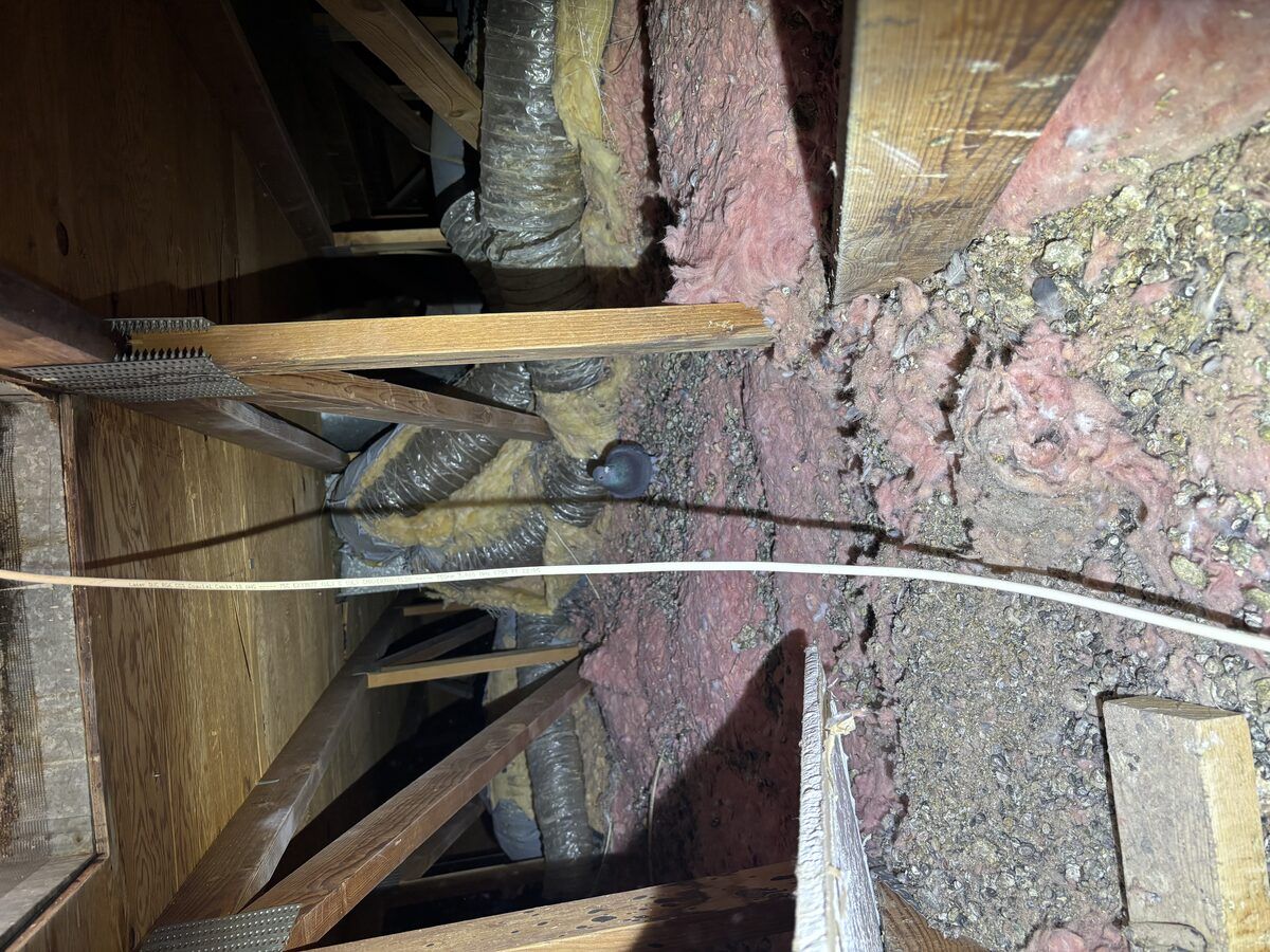 Attic remediation photo 8