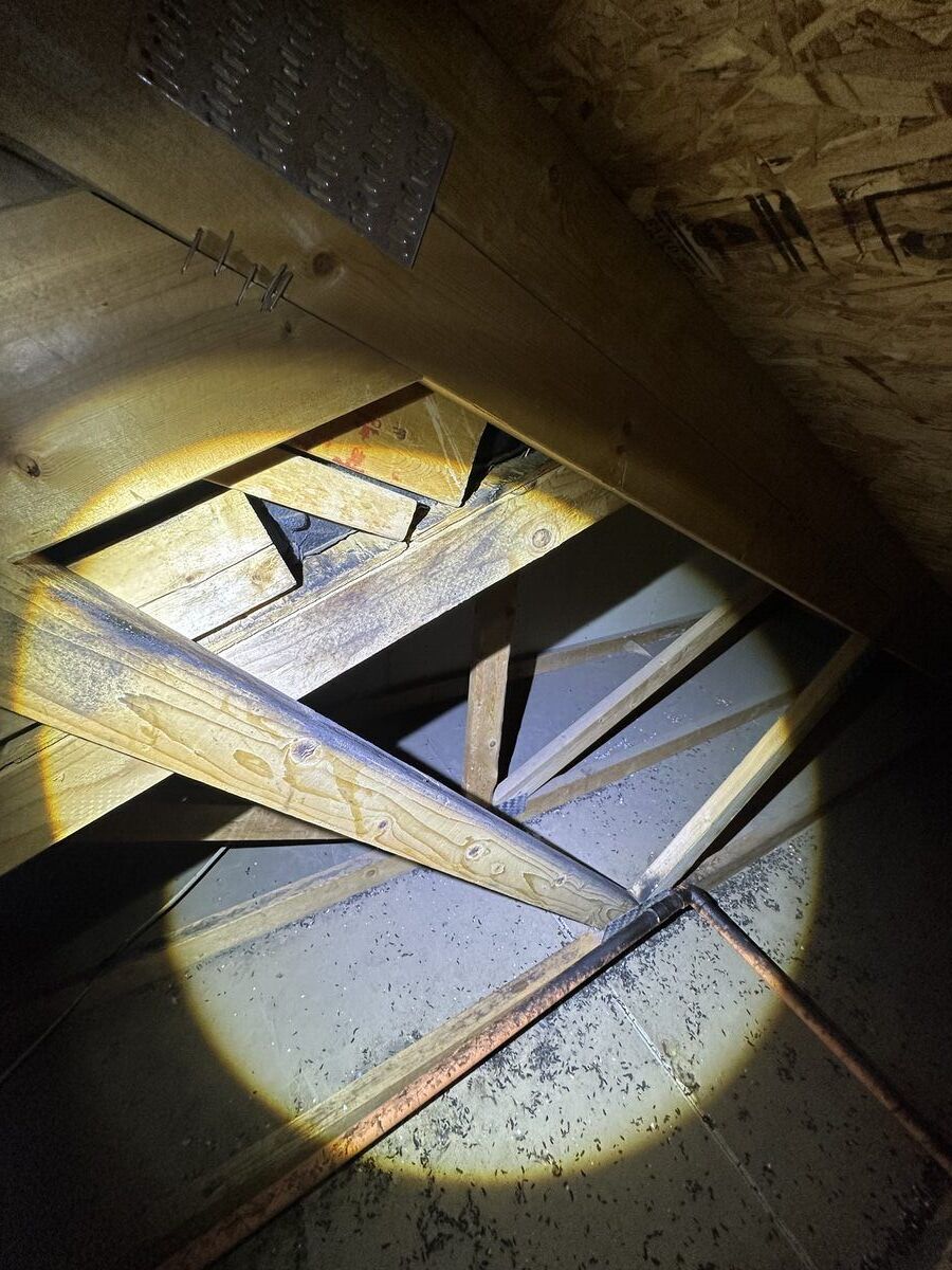 Attic remediation photo 9