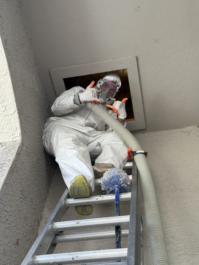 Attic remediation photo 11