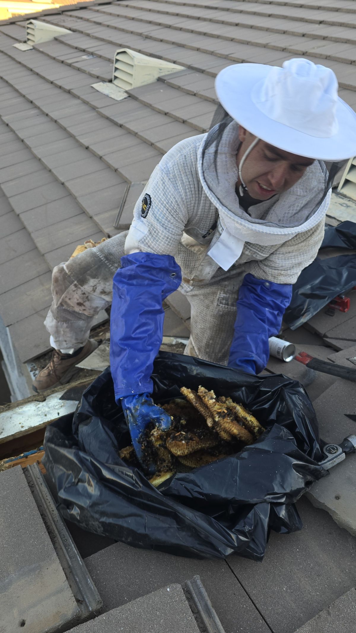 Comb Removal - photo 006