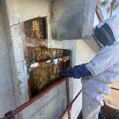 Comb Removal - photo 069