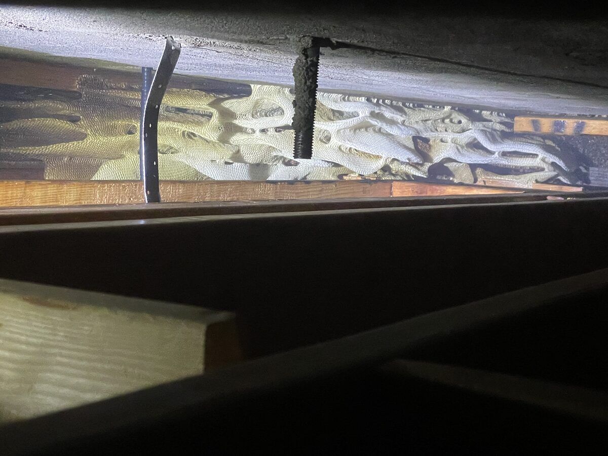 Bee control photo 11