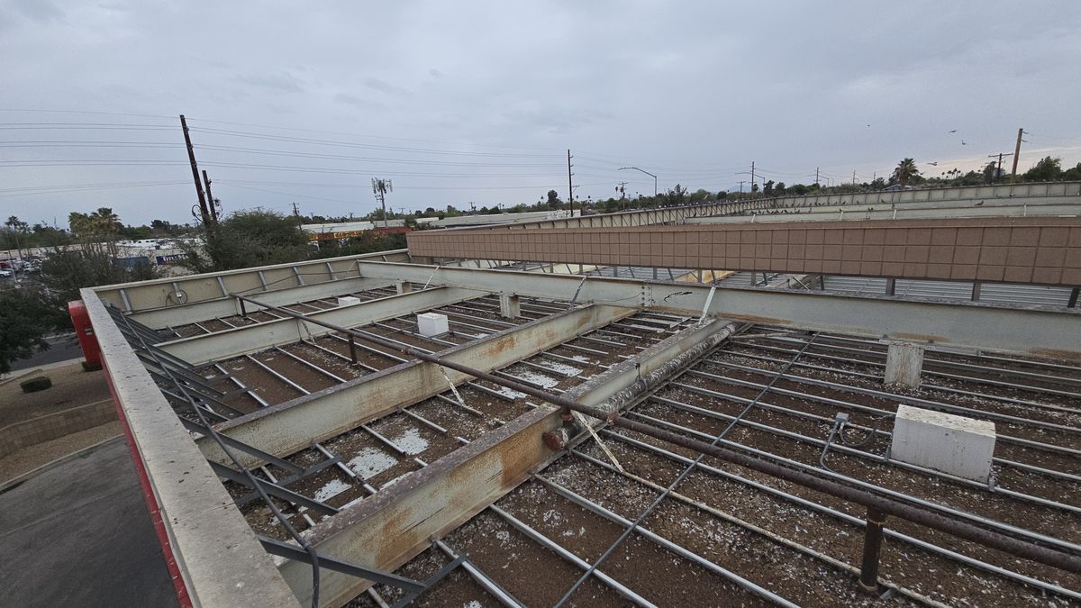 Commercial bird control photo 6