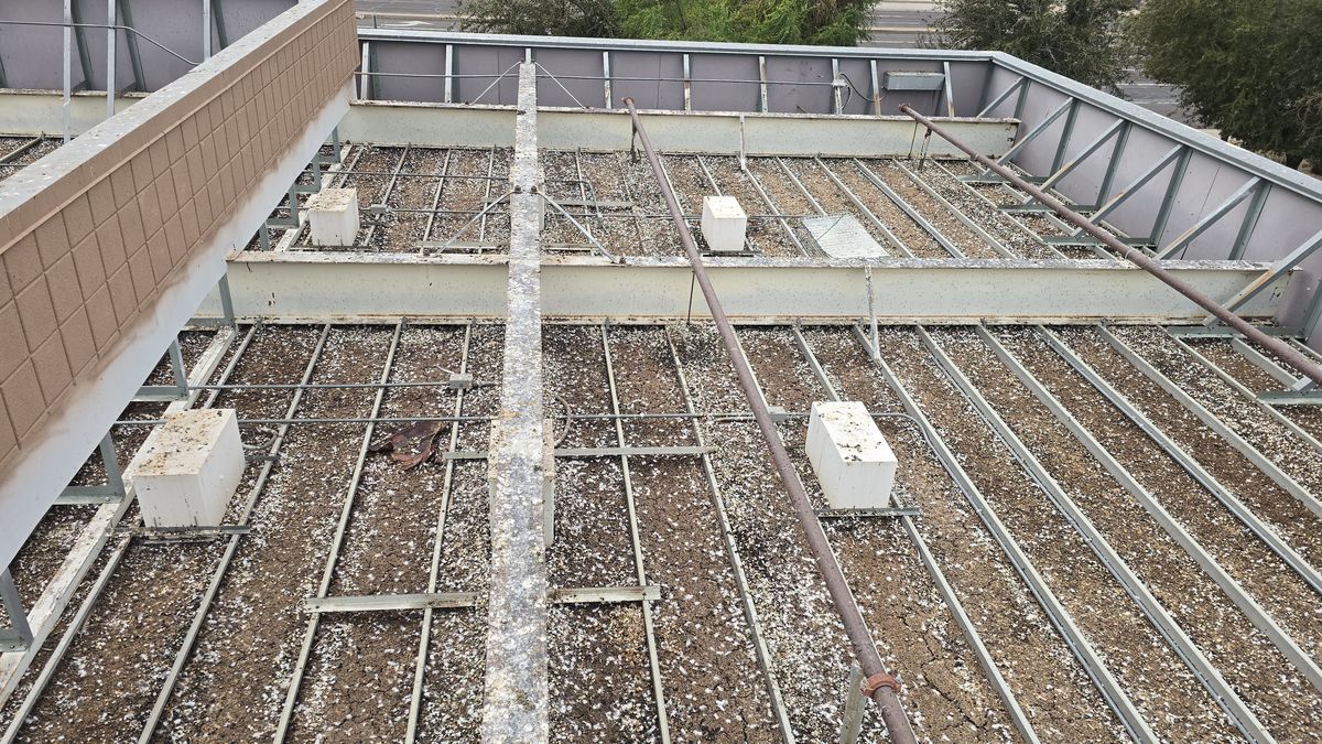 Commercial bird control photo 7