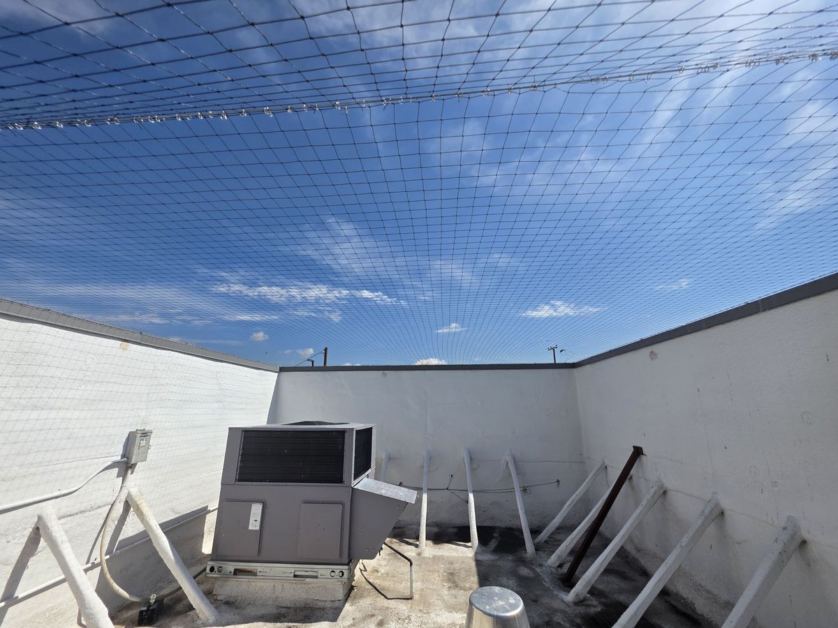 Commercial bird control photo 8