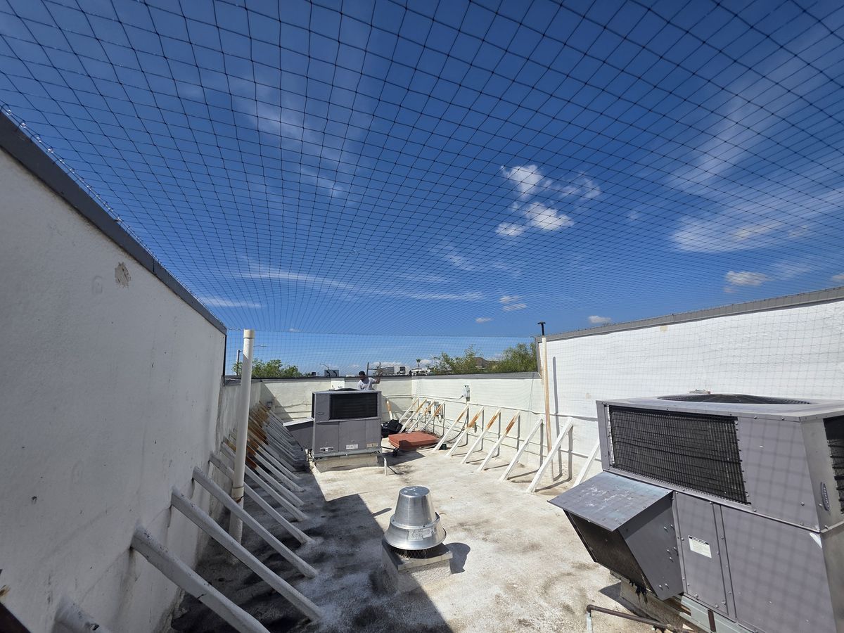 Commercial bird control photo 9