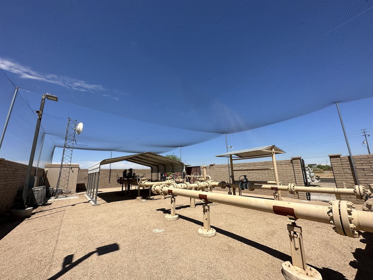 Commercial bird control photo 25