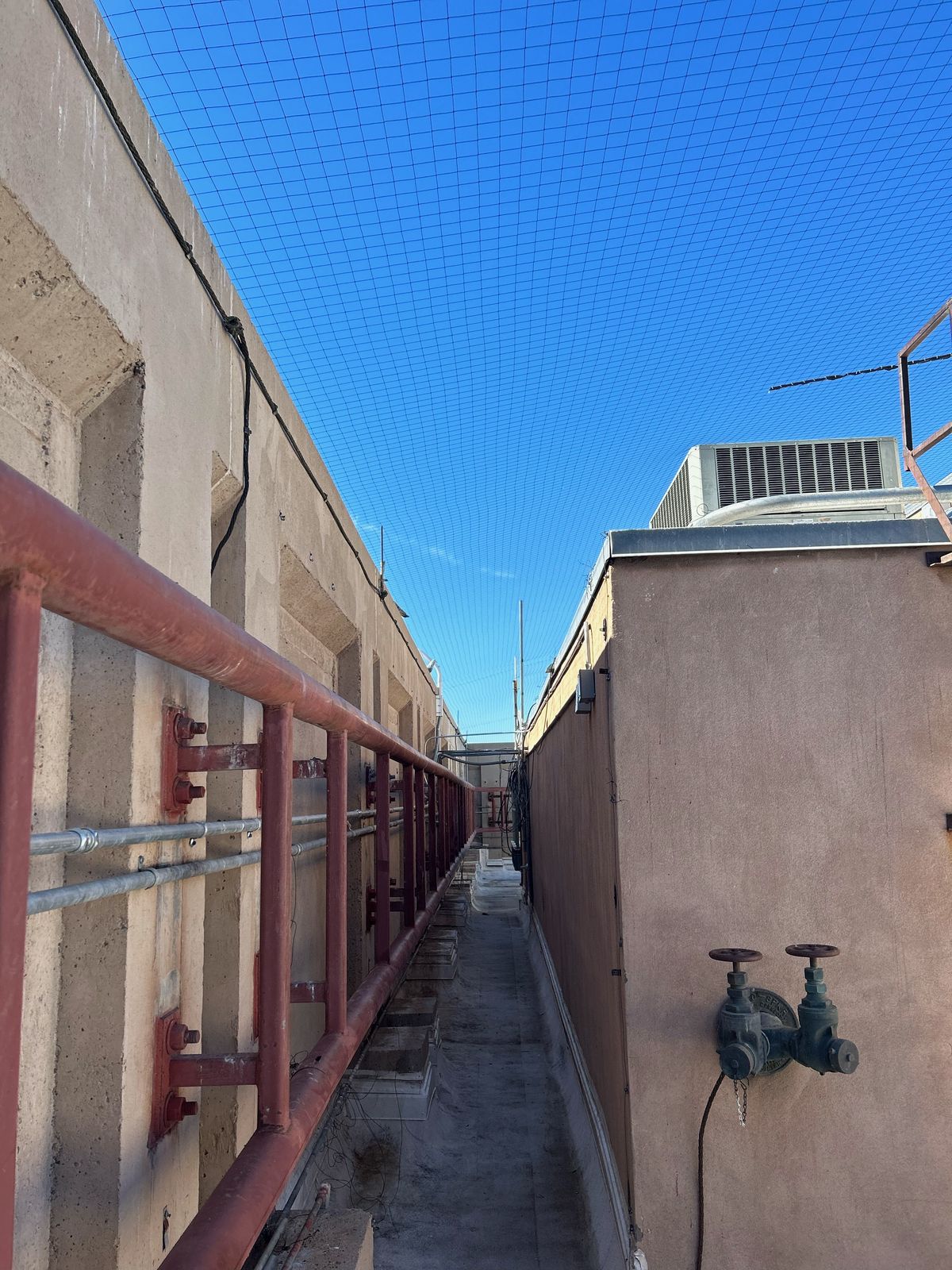 Commercial bird control photo 28