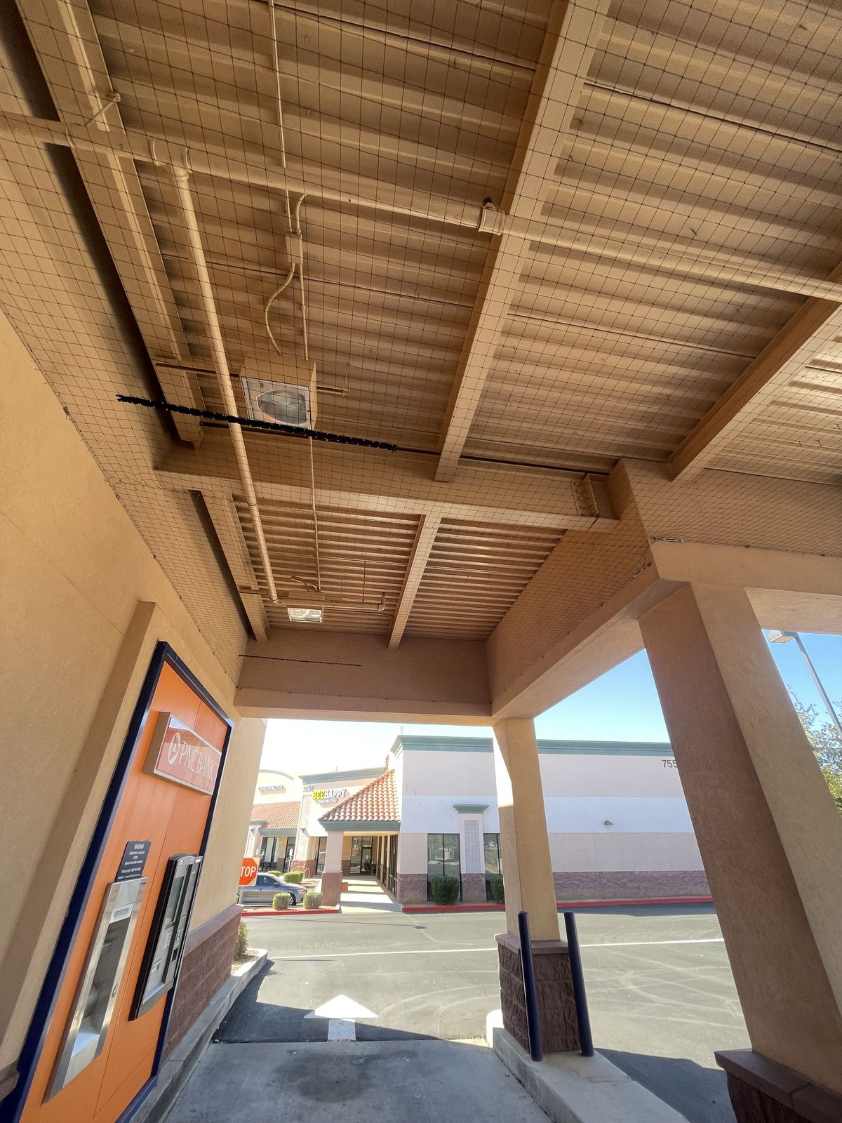 Commercial bird control photo 36