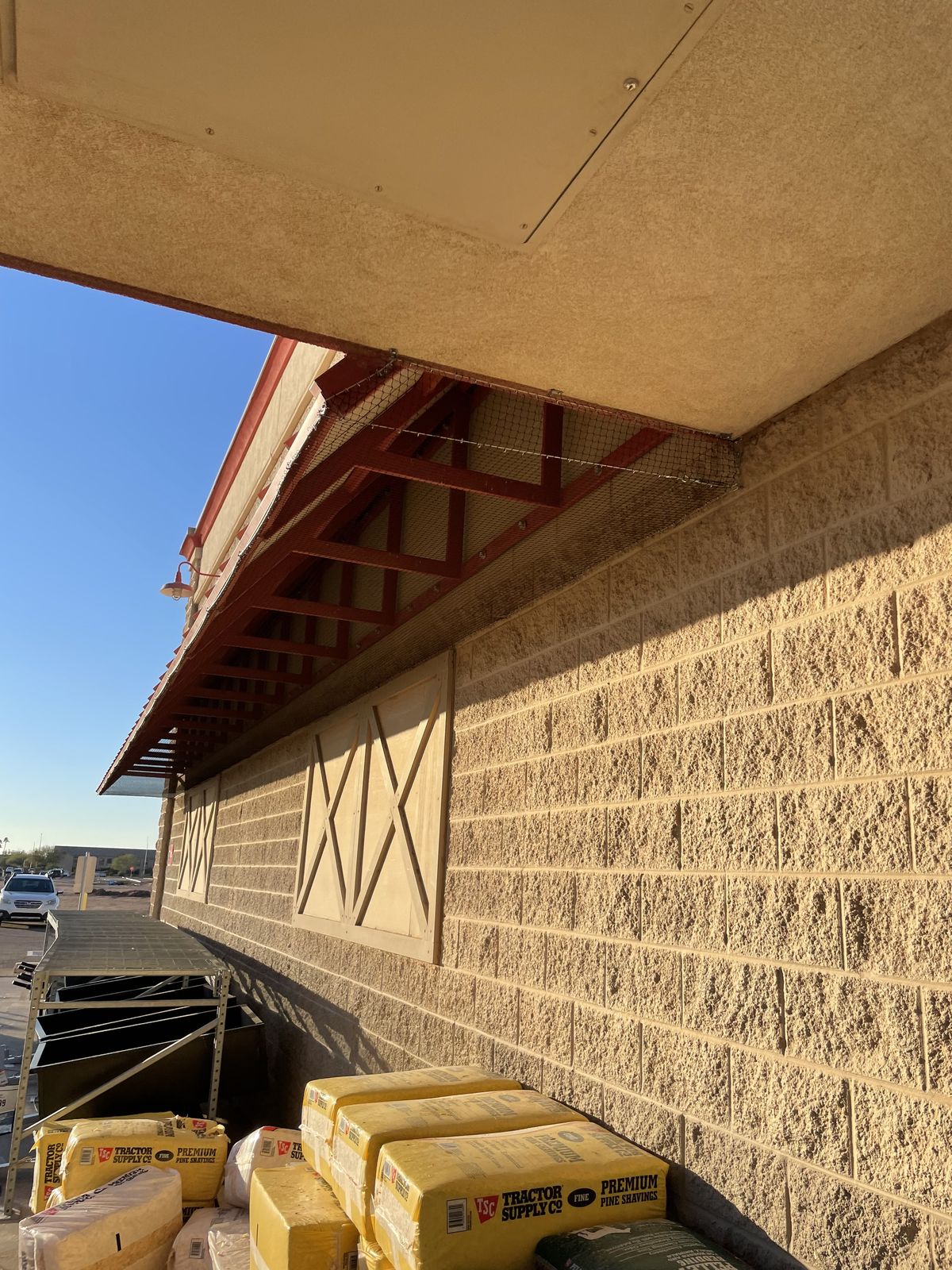 Commercial bird control photo 46
