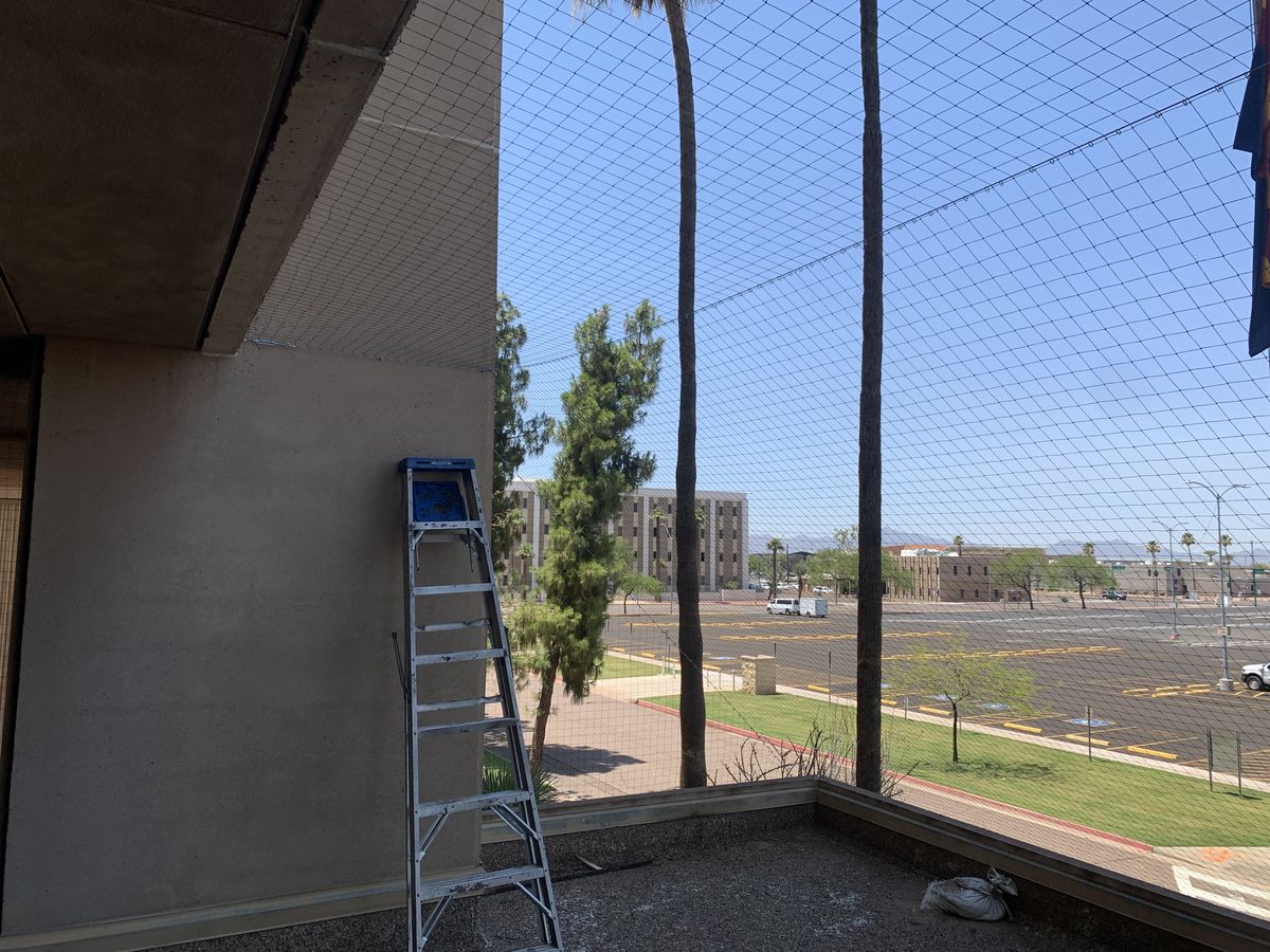 Commercial bird control photo 47