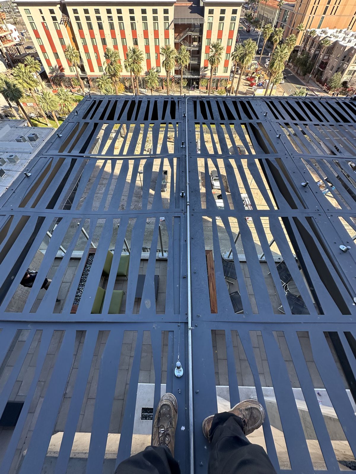 Commercial bird control photo 58