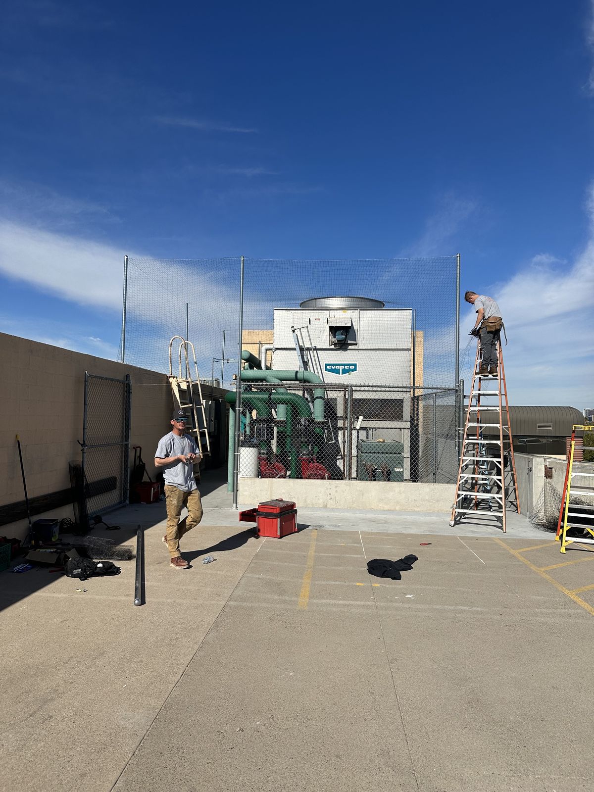 Commercial bird control photo 59