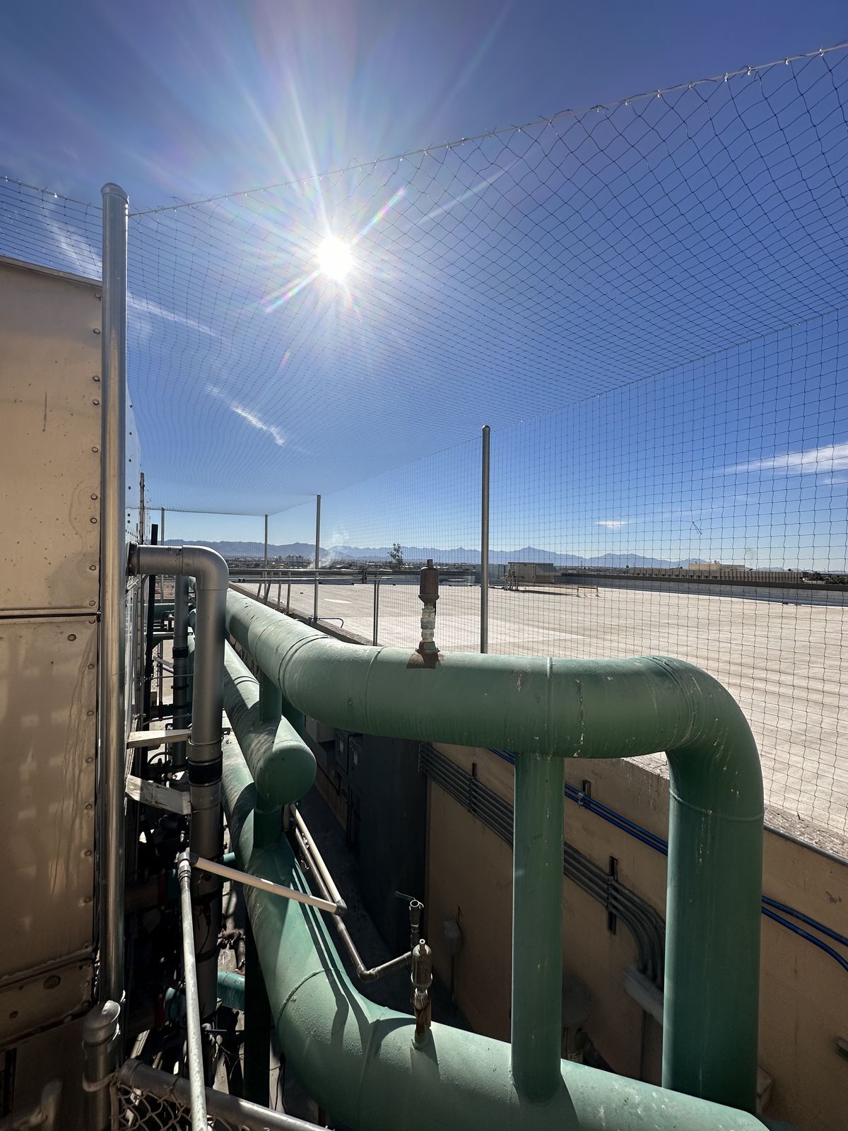 Commercial bird control photo 63