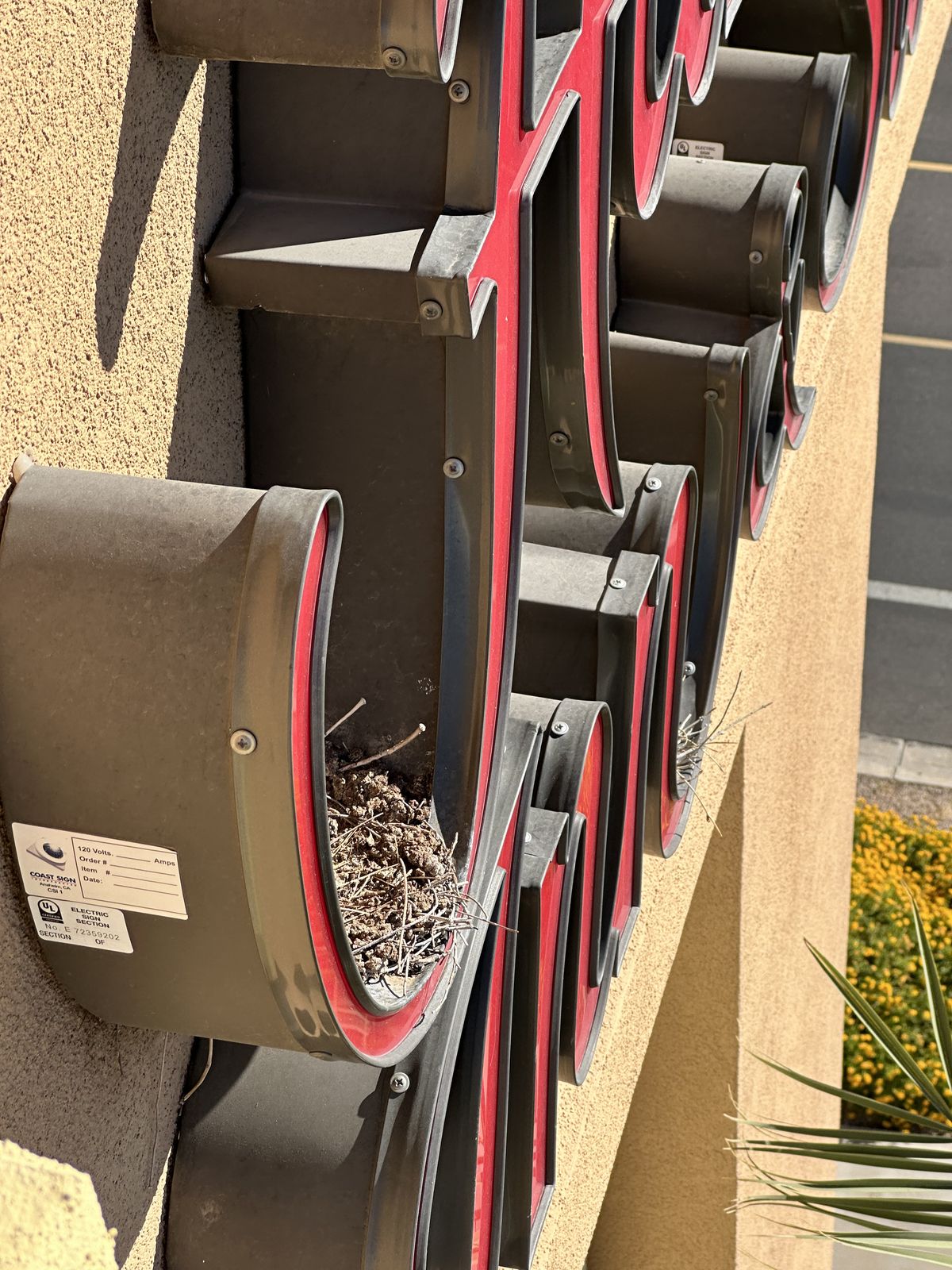 Commercial bird control photo 71