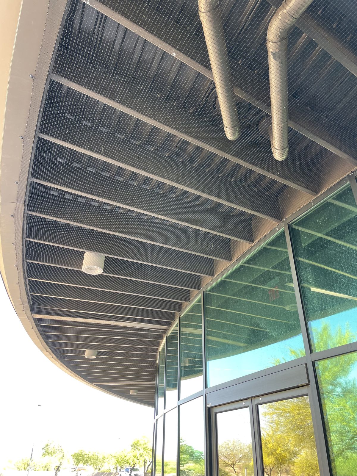 Commercial bird control photo 72