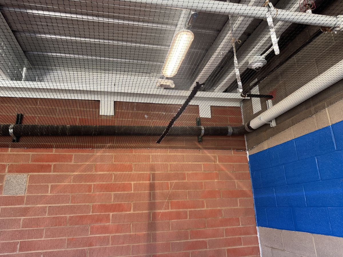 Commercial bird control photo 77