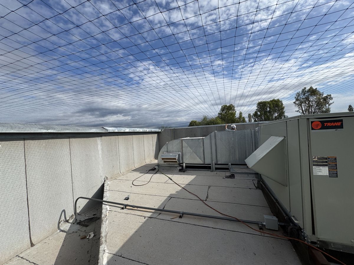 Commercial bird control photo 80