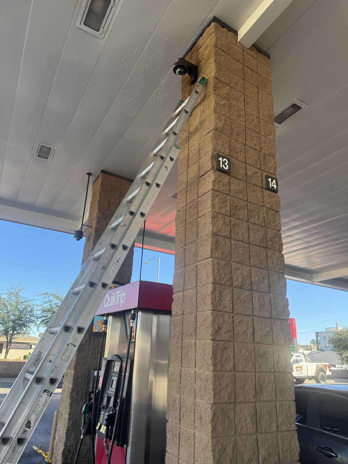 Commercial bird control photo 87