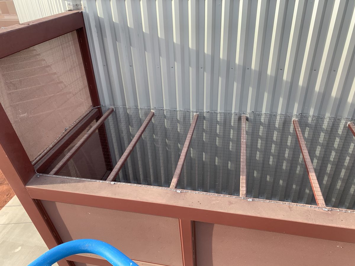 Commercial bird control photo 97