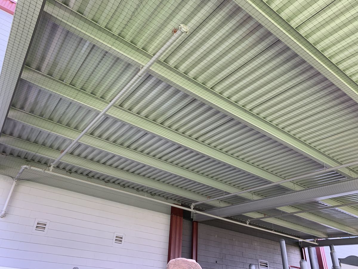 Commercial bird control photo 99