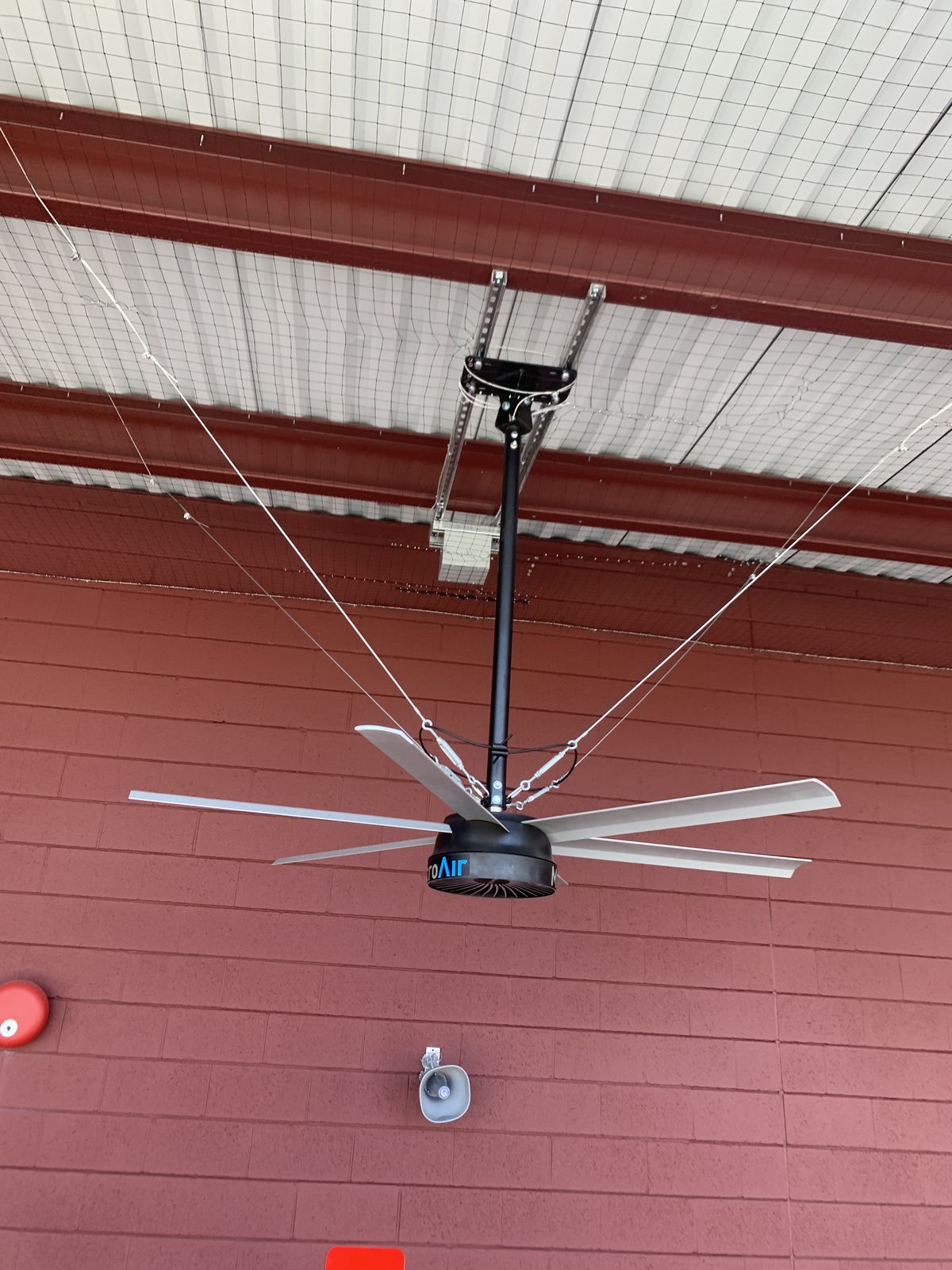 Commercial bird control photo 102