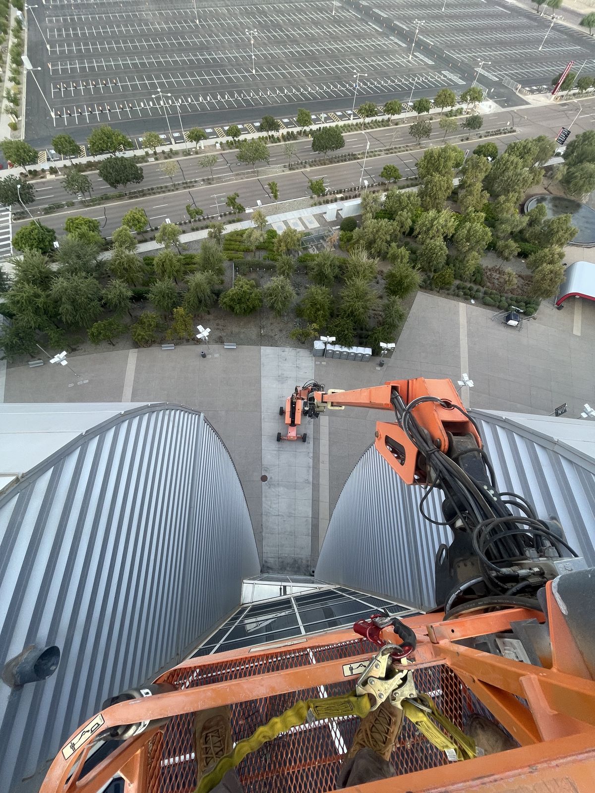 Commercial bird control photo 117