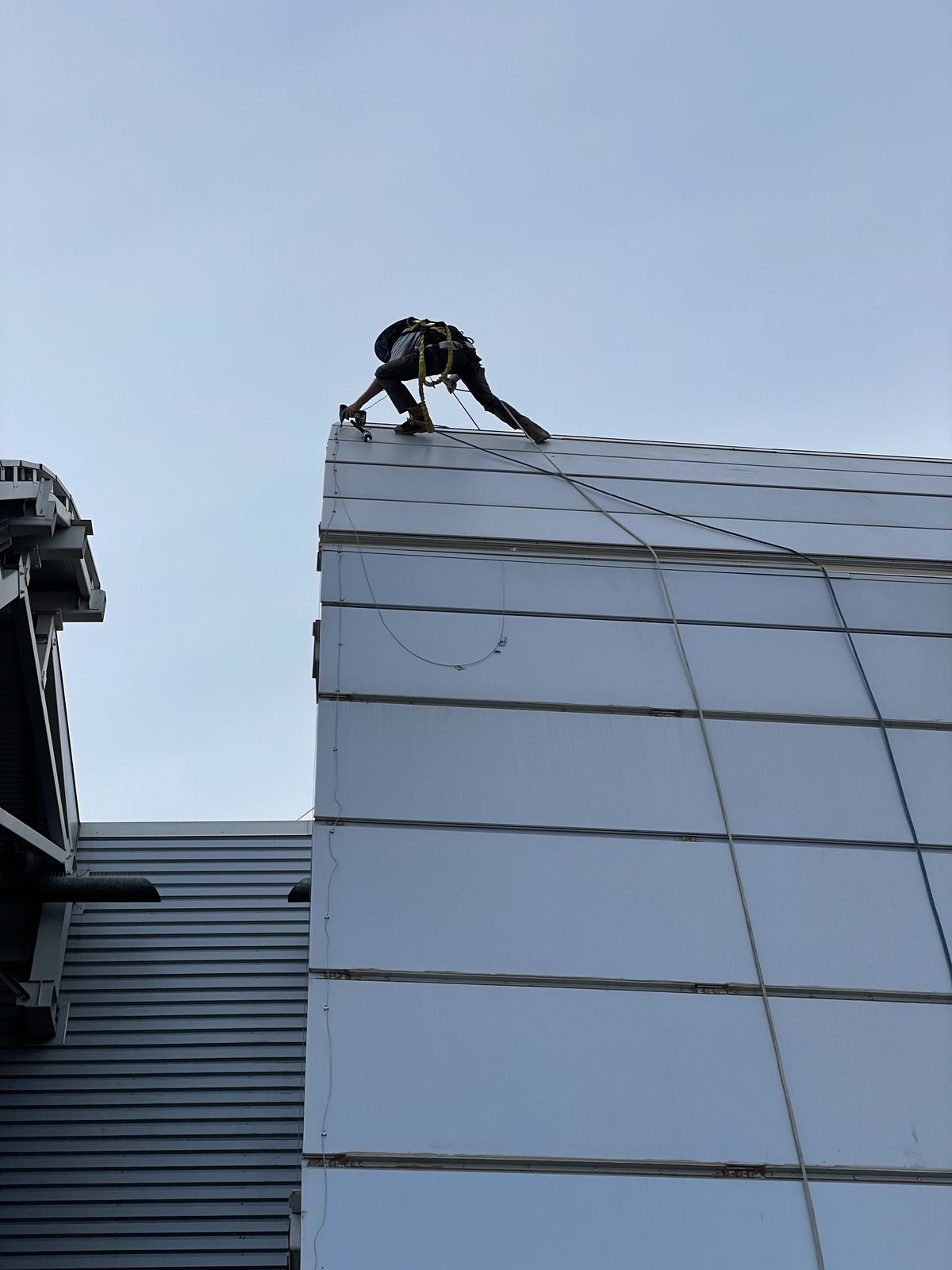 Commercial bird control photo 120