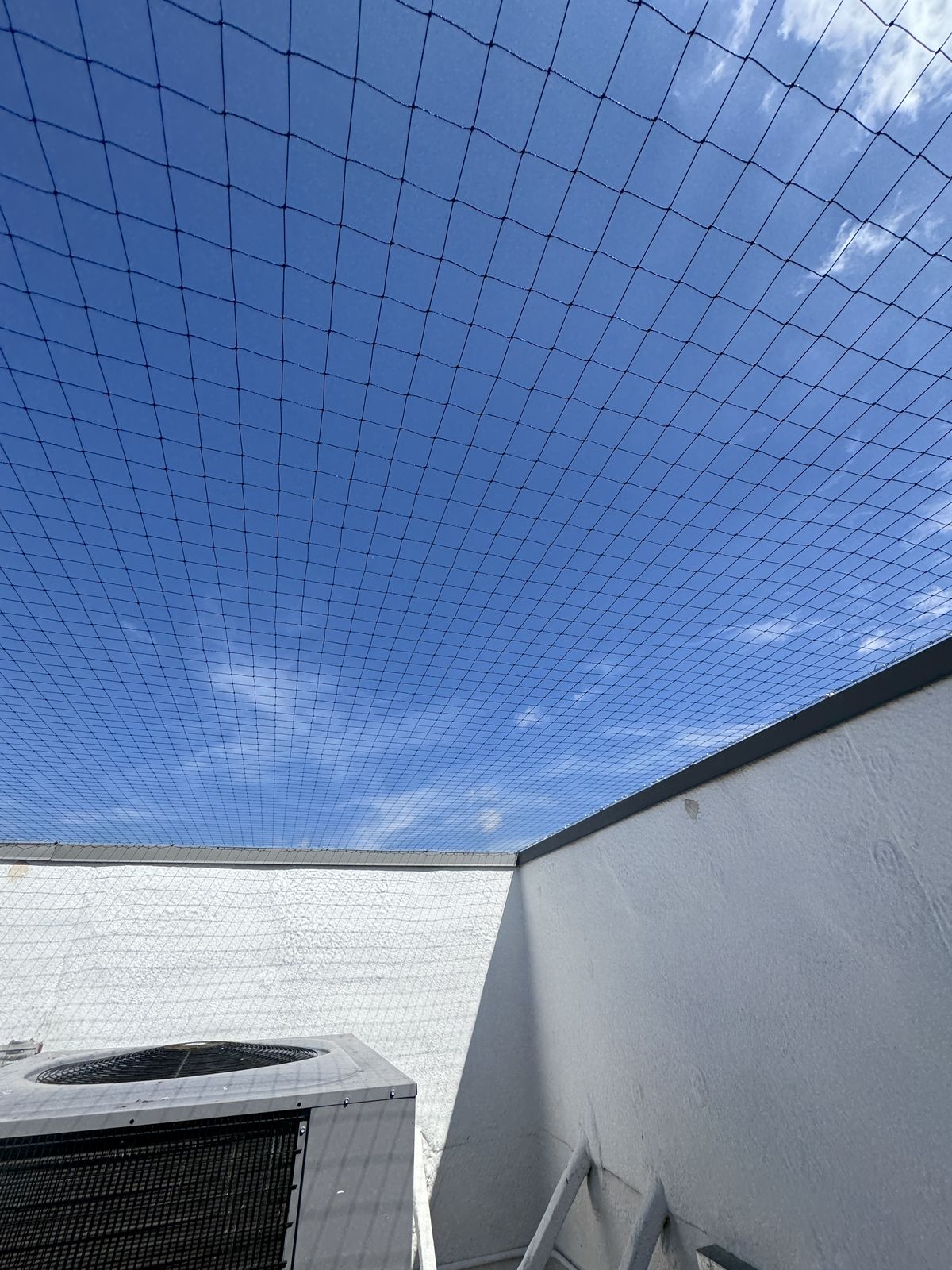 Commercial bird control photo 129