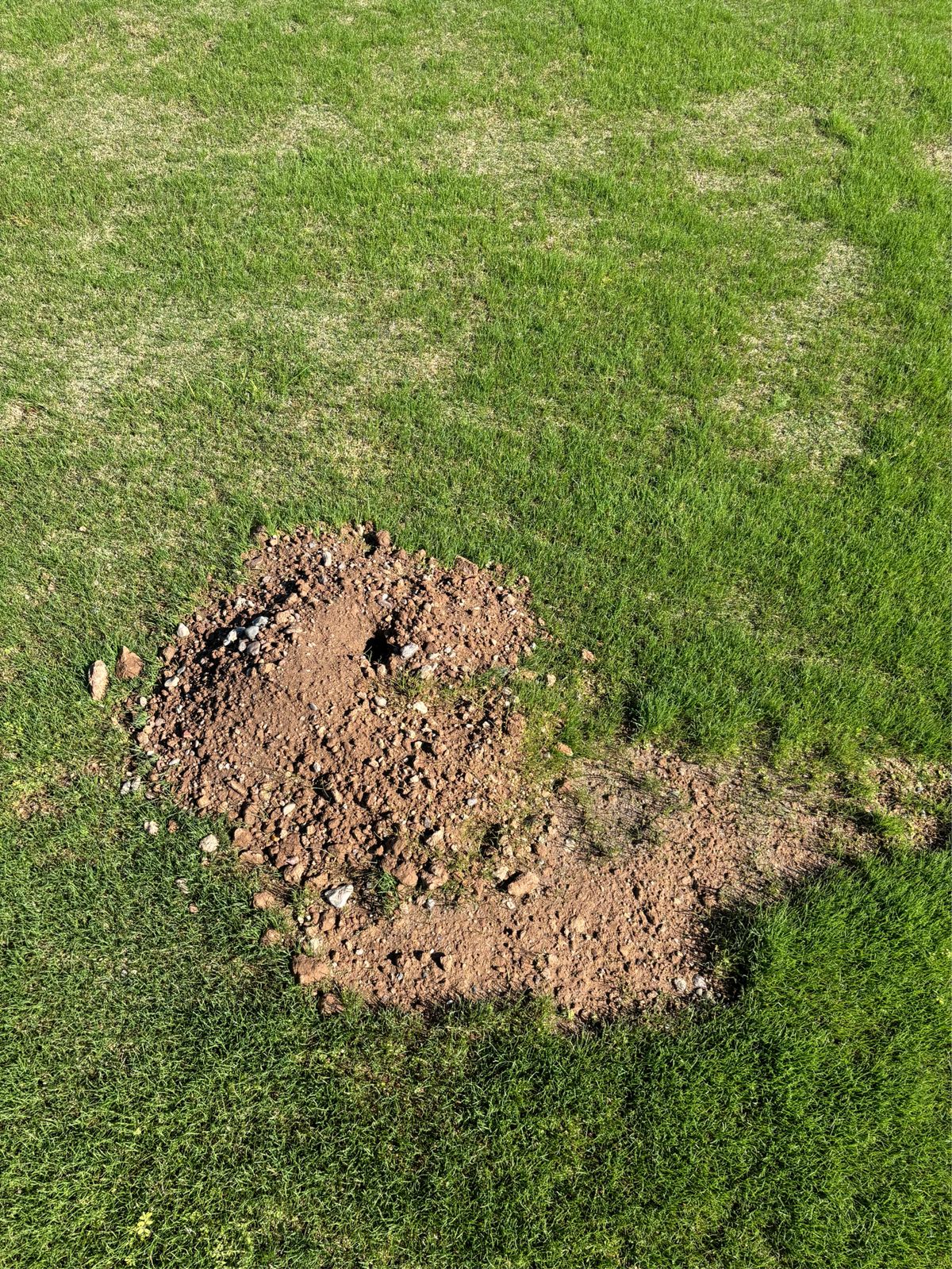 Gopher control photo 1