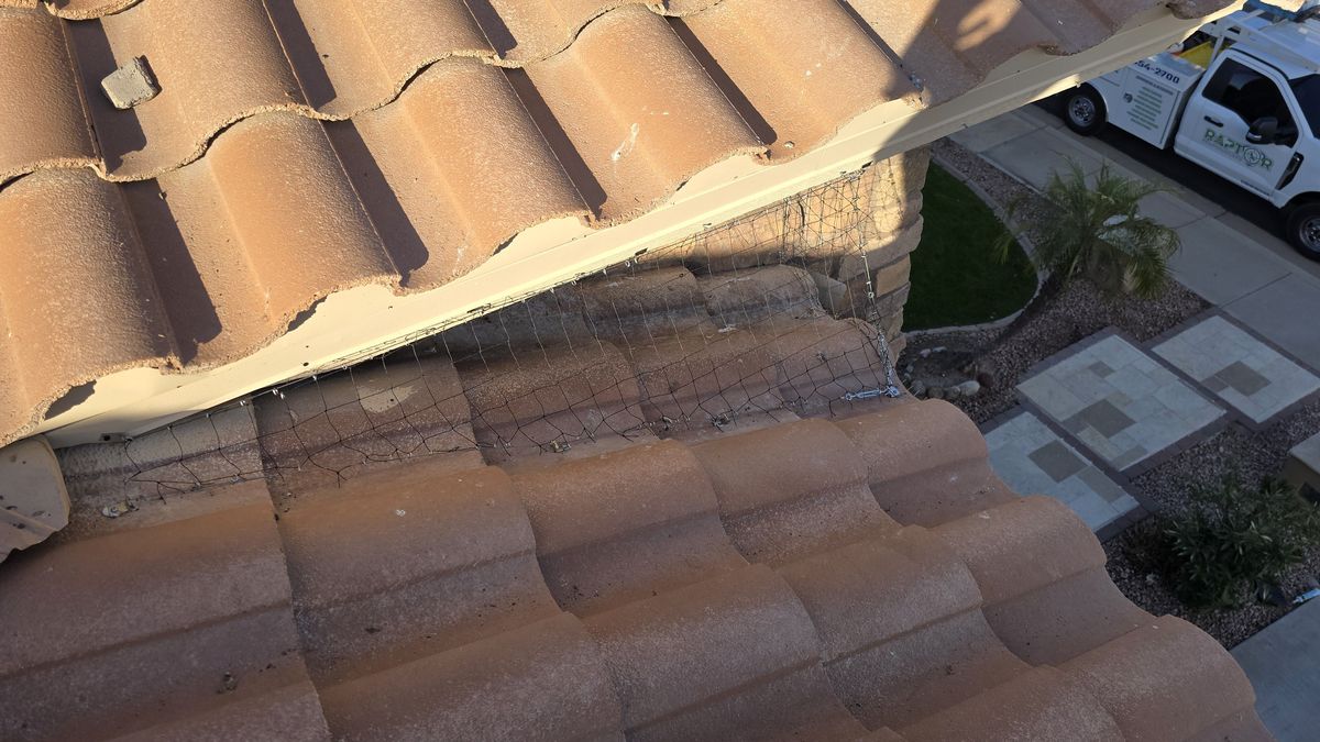 Alcove Netting - photo 1