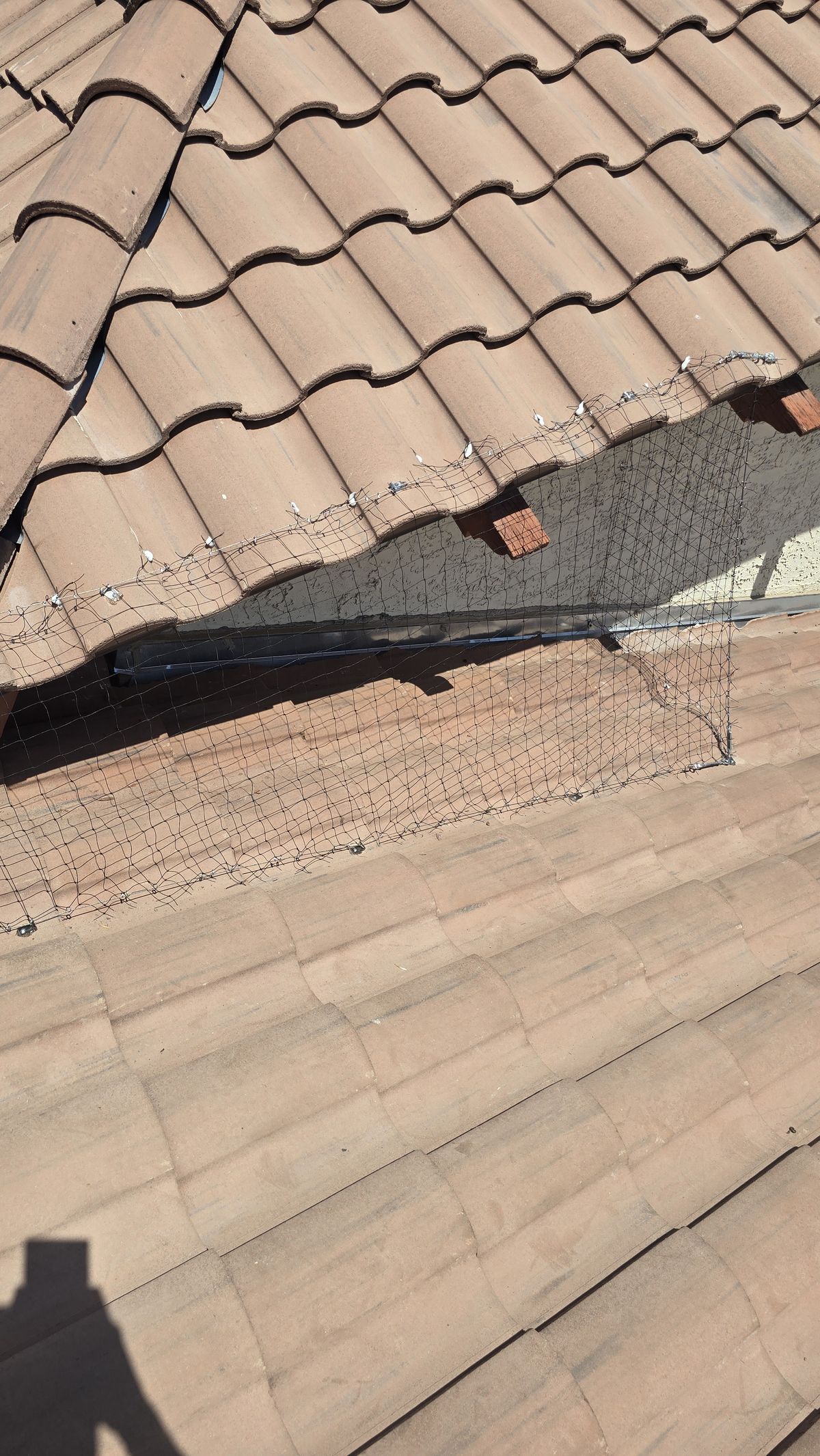 Alcove Netting - photo 4