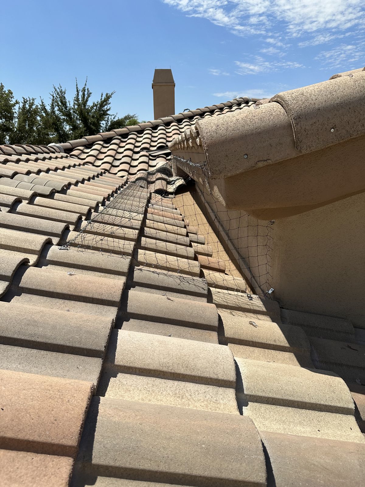 Alcove Netting - photo 10