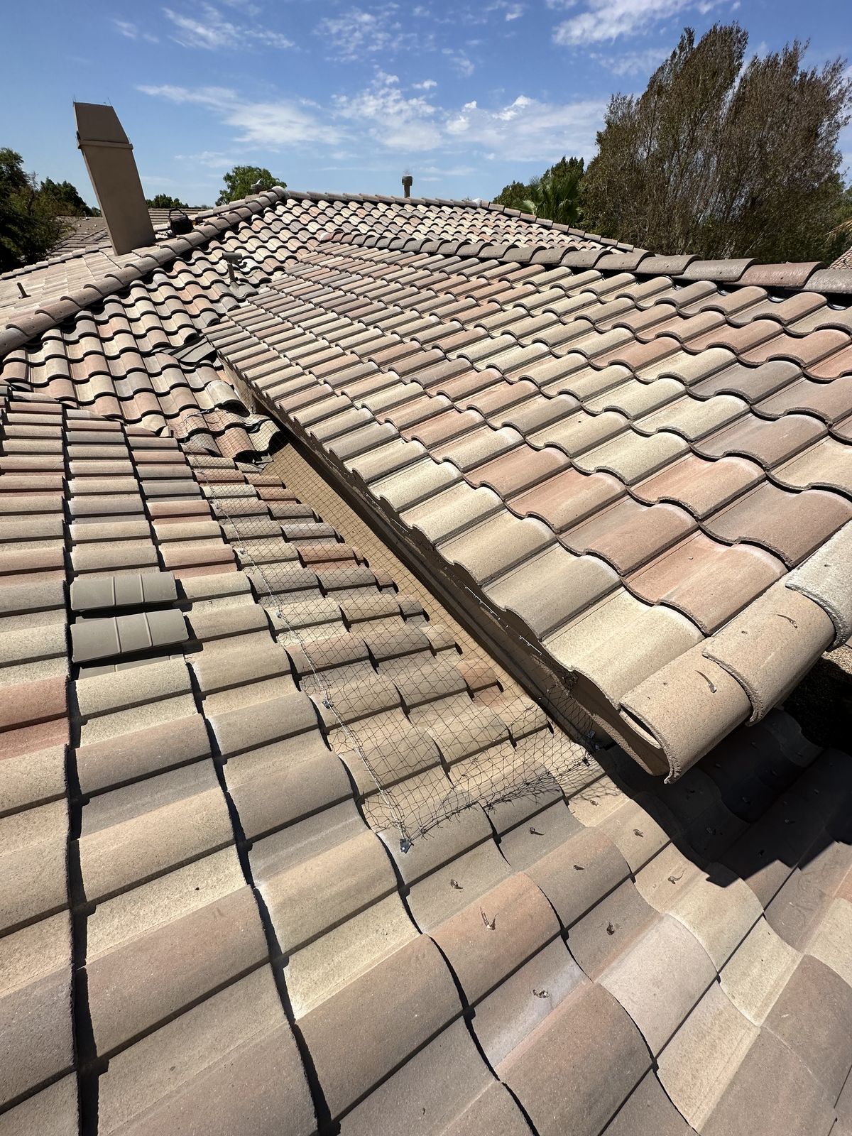 Alcove Netting - photo 11