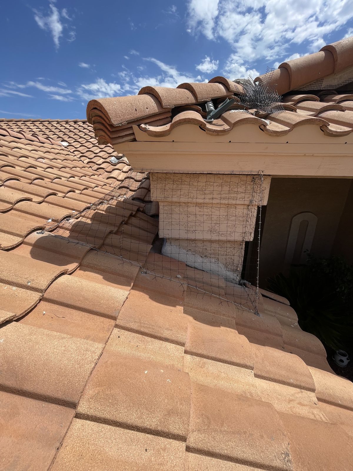 Alcove Netting - photo 15