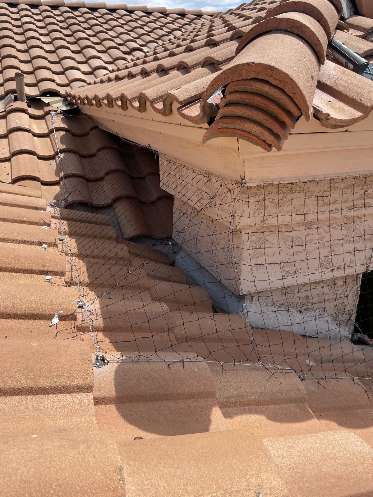 Alcove Netting - photo 16