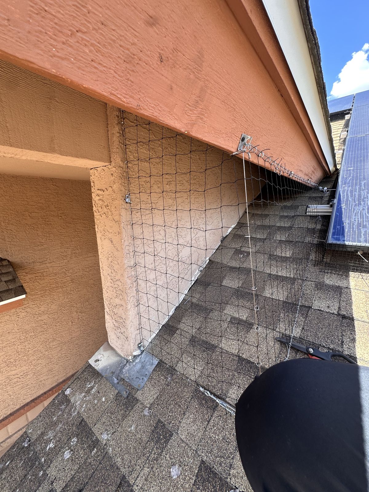 Alcove Netting - photo 21