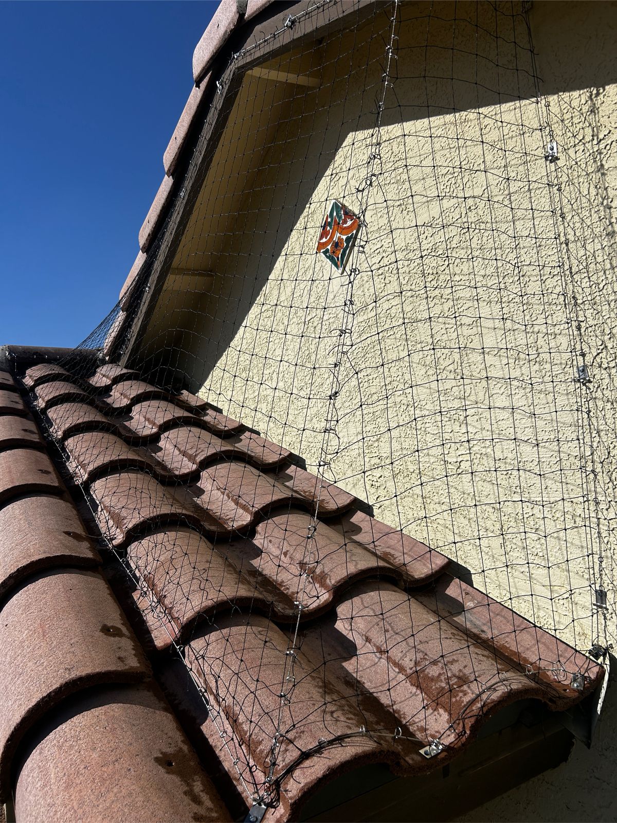 Alcove Netting - photo 24