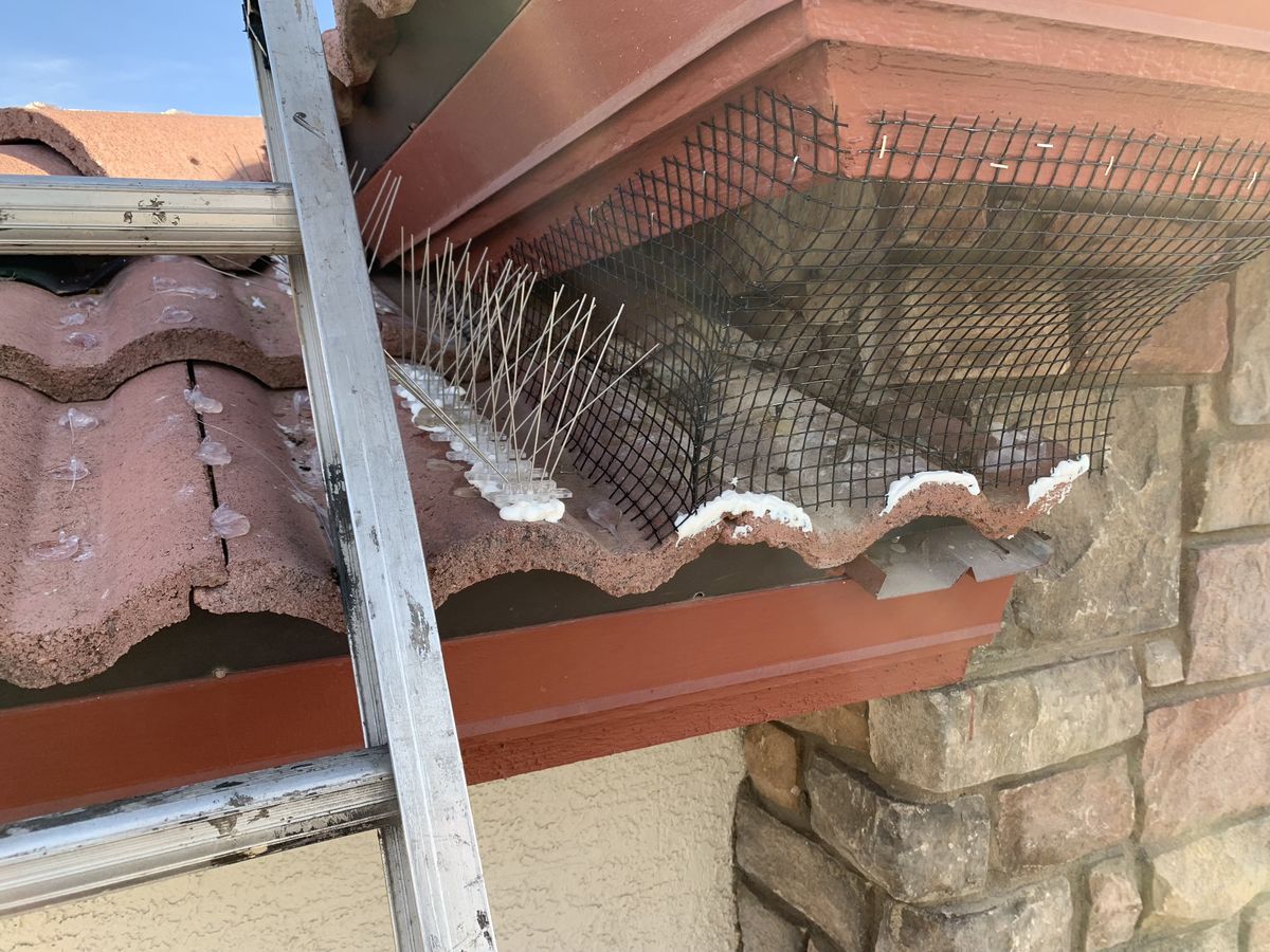 Alcove Screen Installations - photo 17