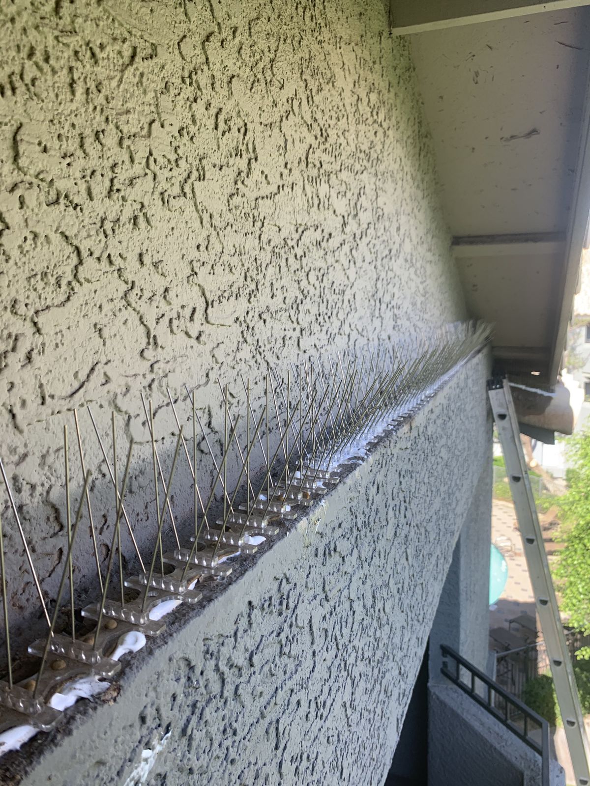 Bird Spikes - photo 8