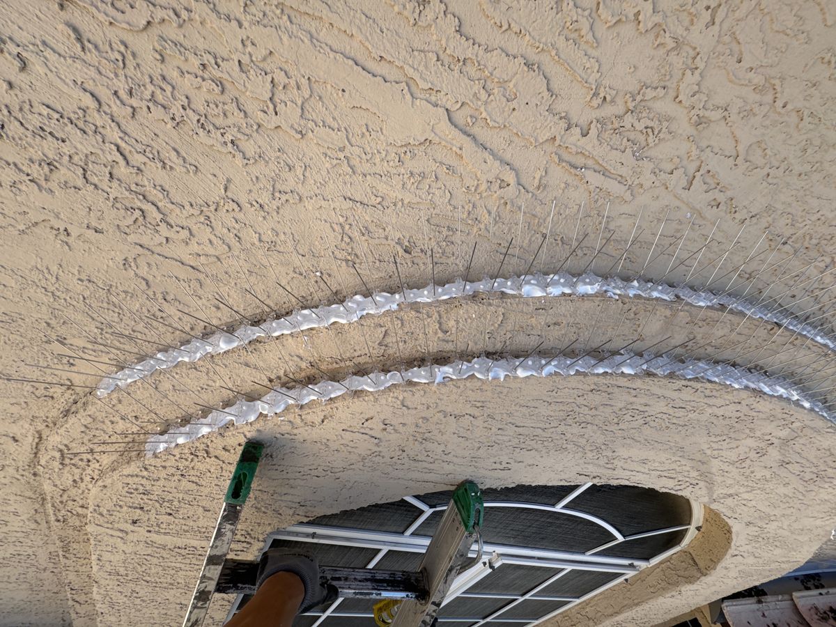 Bird Spikes - photo 10