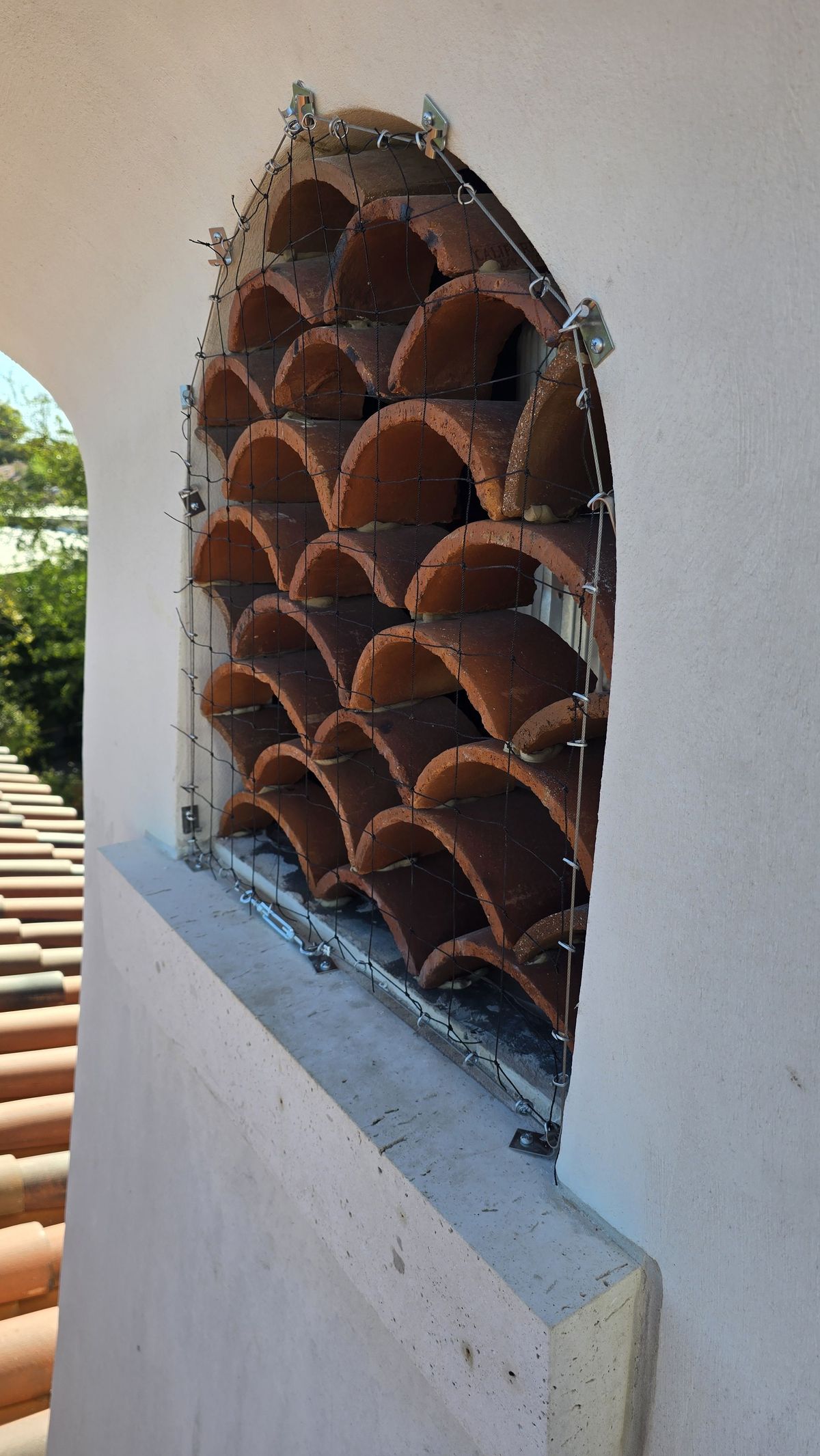 Chimney Cap Exclusions - photo 1