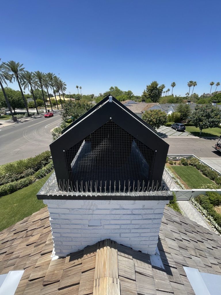 Chimney Cap Exclusions - photo 8