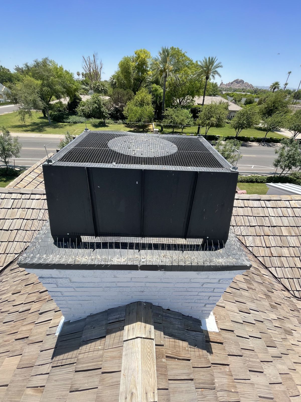 Chimney Cap Exclusions - photo 10
