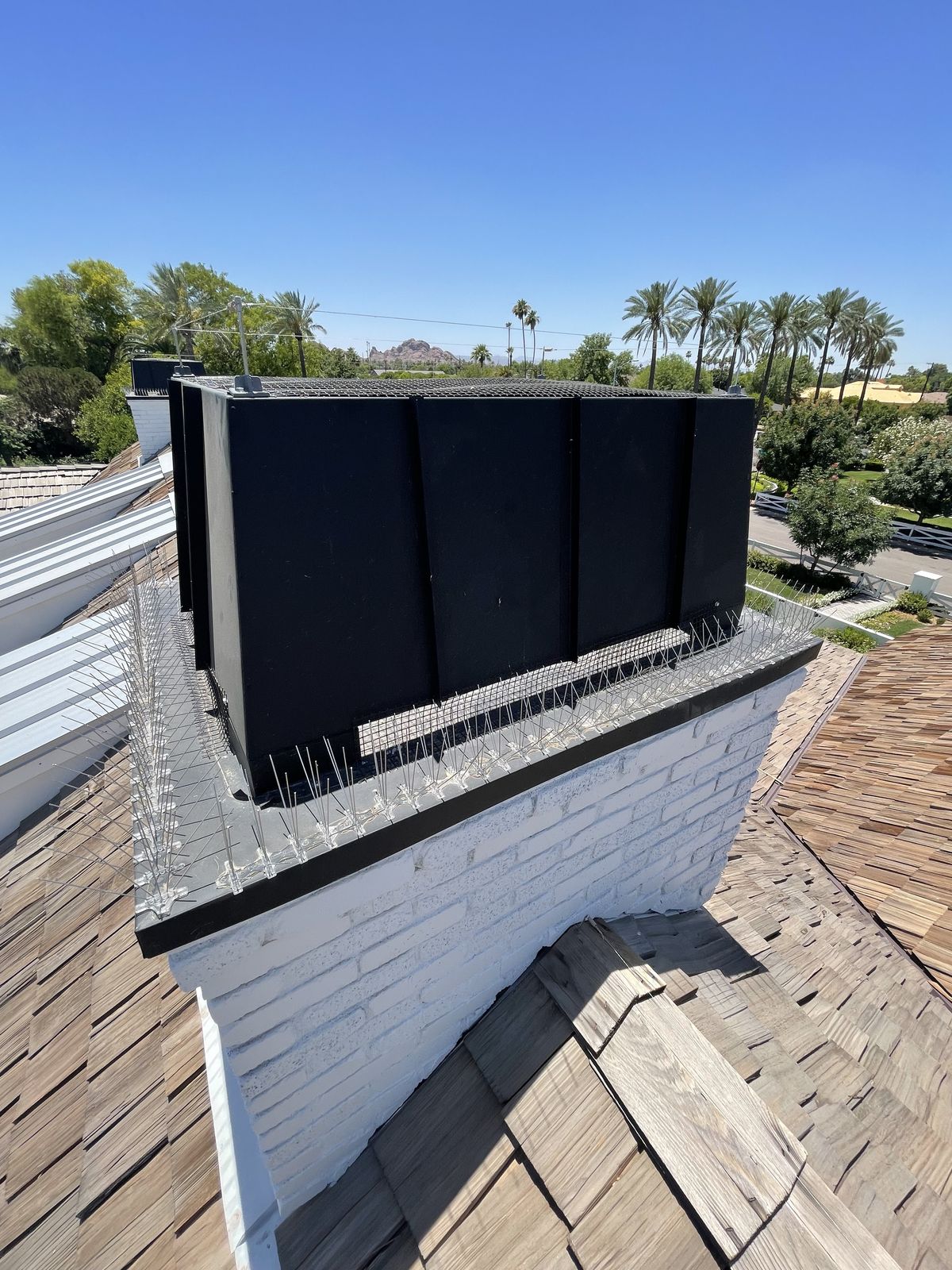Chimney Cap Exclusions - photo 11