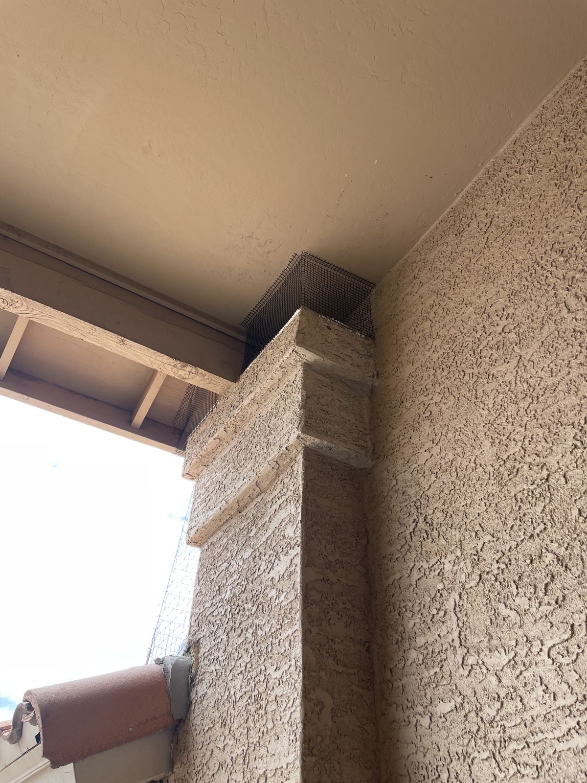 Column Exclusions - photo 5